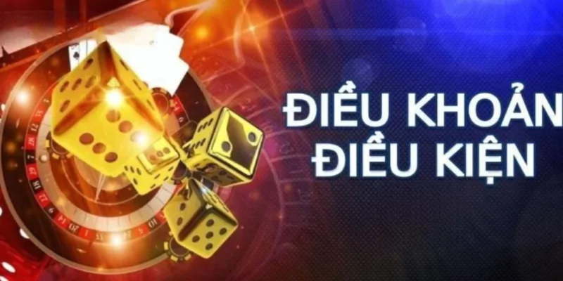 Điều khoản và điều kiện ok9 tổng quan
